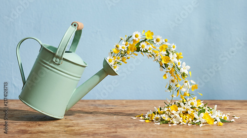 Naklejka ミント色のじょうろから流れ出す花々