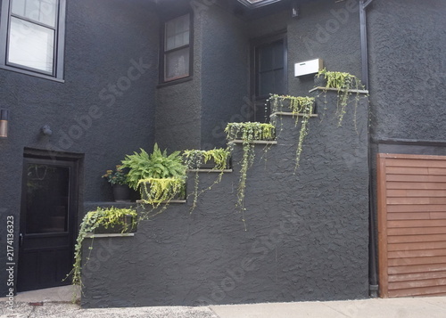 Black Exterior Stucco Staircase with Contrasing Greenery