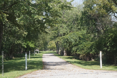 Tree Lined Driveway in Summer