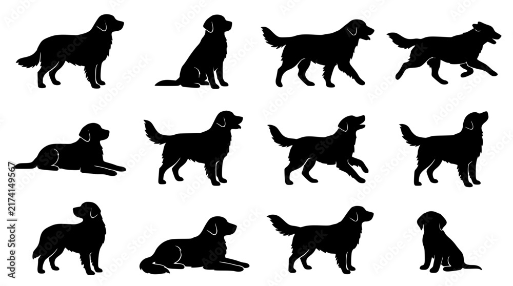 Obraz premium Golden Retriever Dog Silhouette Poses Black Vector Collection