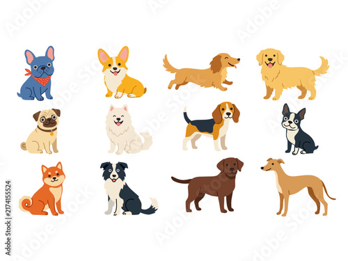 Set of cute cartoon dog breed illustrations featuring French bulldog, corgi, dachshund, golden retriever, pug, samoyed, beagle, Boston terrier, Shiba Inu, border collie, Labrador, and greyhound