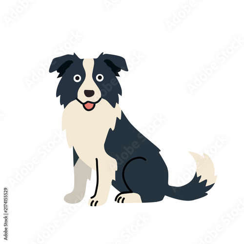 Cute black and white border collie sitting with a fluffy tail and friendly expression, isolated on white background, cartoon vector illustration