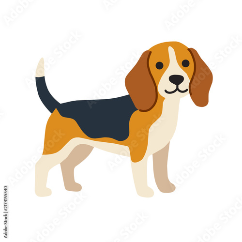 Cute beagle dog standing with brown, black, and white fur, isolated on white background, cartoon vector illustration for pet, dog, and animal designs