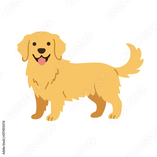 Cute golden retriever standing with a happy expression and fluffy tail, isolated on white background, cartoon vector illustration for pet and dog designs