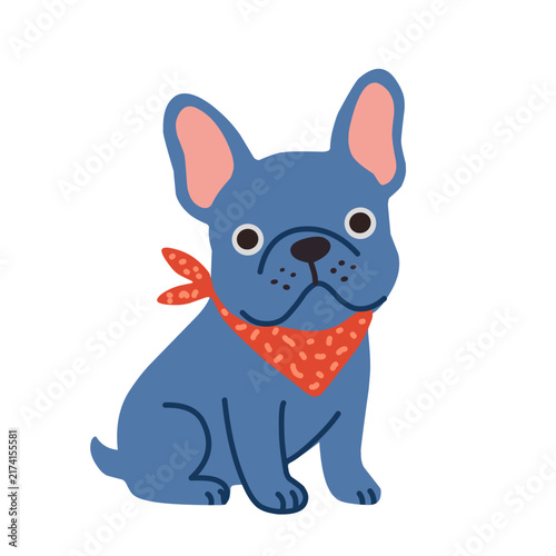 Cute blue French bulldog wearing a red bandana, sitting and smiling, isolated on white background, cartoon vector illustration for pet and dog designs