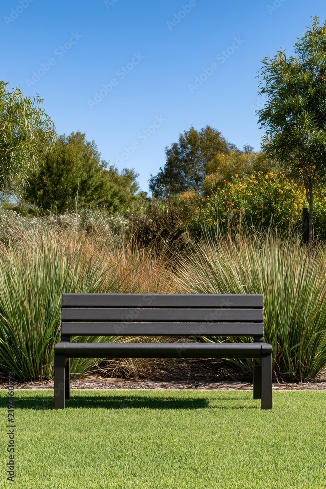 Fototapeta premium Empty park bench in landscaped garden with blue sky for design, poster and website background
