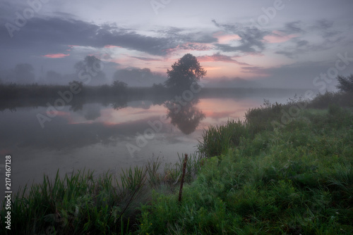 Canvastavla Pink dawn sky above a green meadow shrouded in low fog