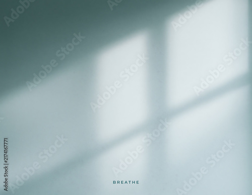 Window shadow overlay on a muted blue wall. Minimalist interior sunlight background 