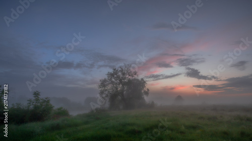 Foto Trees silhouetted against a pink and blue sunrise sky above a foggy meadow