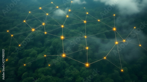 Global network connection glowing over green forest canopy representing smart ecological sustainability and digital innovation in environmental monitoring