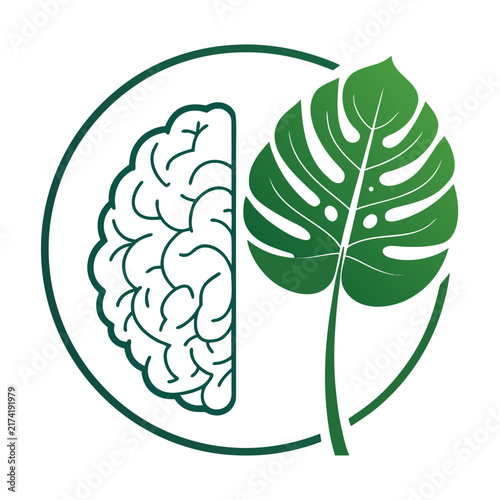 mental health brain monstera leaf icon minimalist flat vector illustration