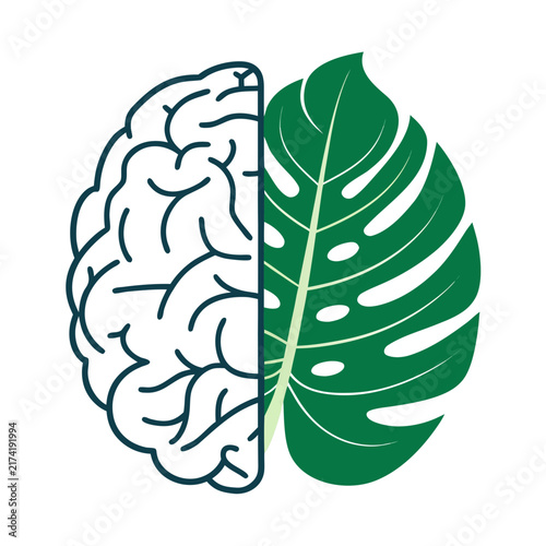 mental health brain monstera leaf icon minimalist flat vector illustration