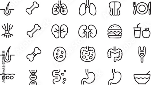 Human Anatomy and Organ Icons for Medical Education and Healthcare Design
