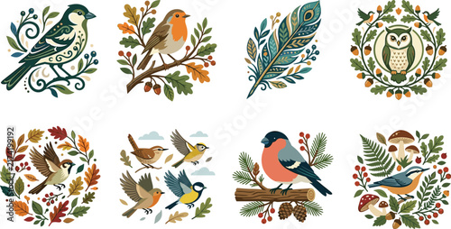 Decorative Bird Illustration Collection with Songbirds Feathers and Botanical Elements