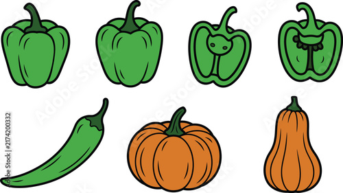 Fresh green bell pepper chili pumpkin and butternut squash vector illustration set isolated on white background.