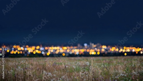 Blurred city lights shimmer above a field of dry grasses and wildflowers at twilight