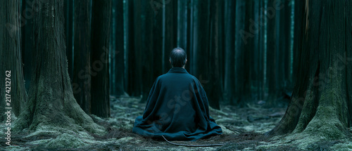 Zen in the Forest: A solitary figure sits in meditation, embraced by the serene twilight of an ancient forest, embodying tranquility and spiritual peace.