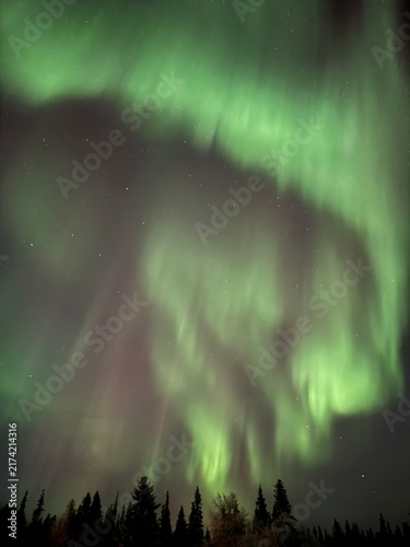 Bild auf Leinwand Northern lights