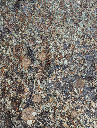 Konstfotografi A close view of a rock surface showing moss and lichen