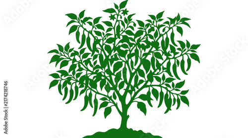 Illustration of a vibrant green chili pepper plant growing in soil.