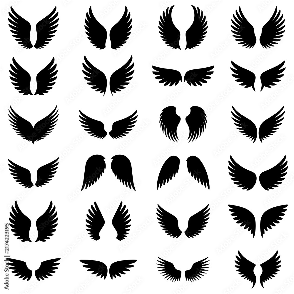 Fototapeta premium Bird Wing Silhouette