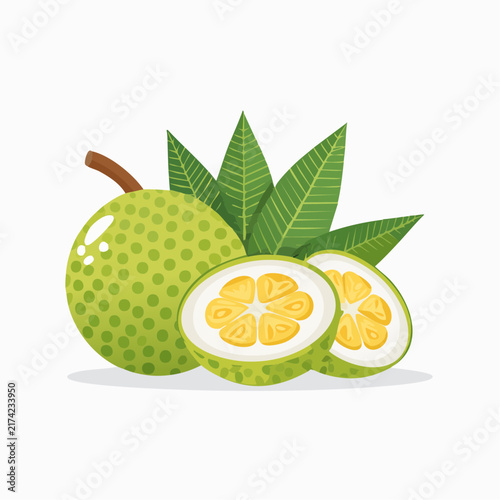 Traditional tropical breadfruit with textured green rind and open sliced halves showing starchy yellow flesh framed by large tropical leaves for culinary traditions and cultural food vector designs