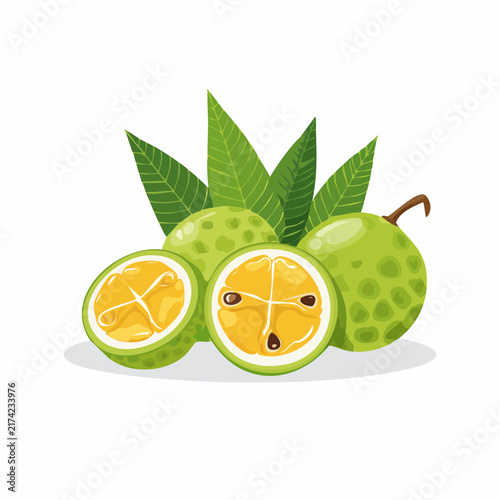Starfruit carambola tropical fruit vector artwork featuring whole yellow fruits and crisp sliced star shapes with detailed green foliage for healthy snack packaging and tropical beverage menus