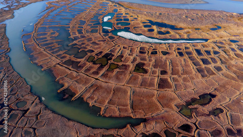 Aerial view of permafrost polygons, Teshekpuk Lake wetlands
