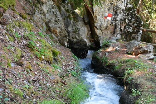 фотографія Wandern und Wasser ein Waalweg in Südtirol
