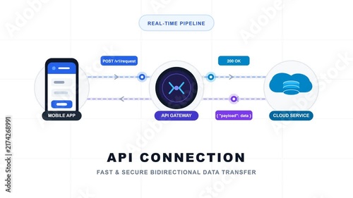 Flat motion animation of secure API connection for real-time data transfer between mobile and cloud.