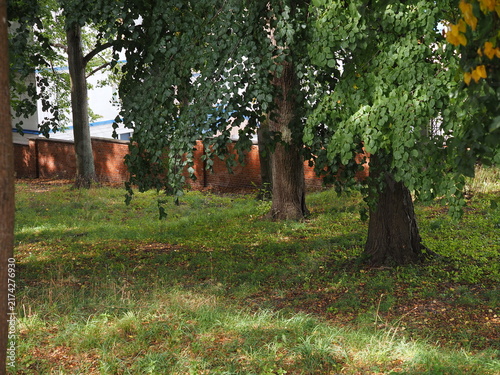 Plakat Grass and trees against a red brick wall