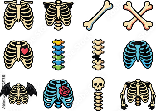 Canvas Print Transparent, Vintage skeleton spine collection