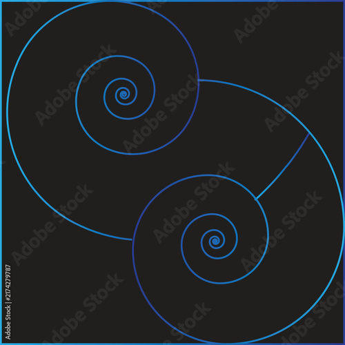 Fibonacci Golden Ratio Spiral Geometric Vector Graphic on Dark Background