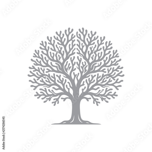 Illustrated Stylized Tree Isolated