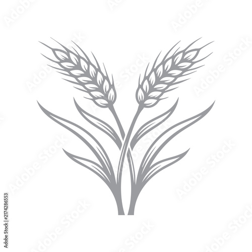 Wheat Stalks Engraving Style Isolated