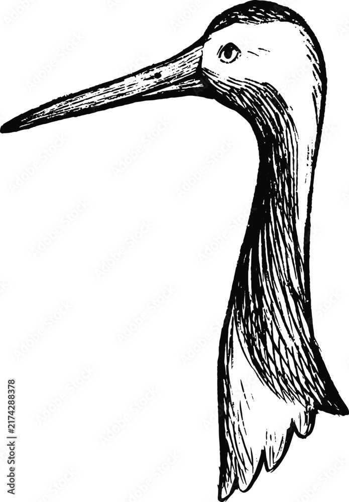 Naklejka premium Simple and adorable Red-crowned crane head illustration with outlines only vintage style