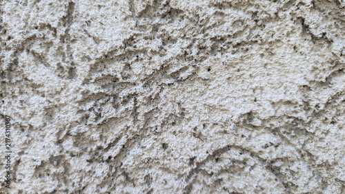Fotografía Light grey coarse stucco plaster background texture