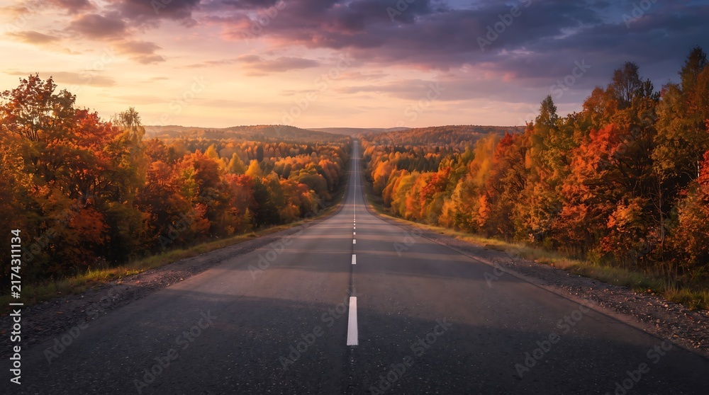 Obraz premium Empty asphalt road leading through a colorful autumn forest during a beautiful golden sunset