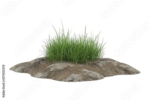 A small patch of lush green grass growing on a textured rocky dirt mound isolated on a transparent background, featuring realistic 3D rendered vegetation perfect for environmental design projects.