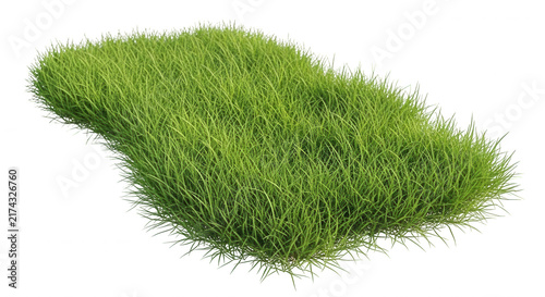 A high-quality 3D rendered patch of lush green grass isolated on a transparent background, featuring realistic blades of turf with natural textures and vibrant botanical detail for architectural.