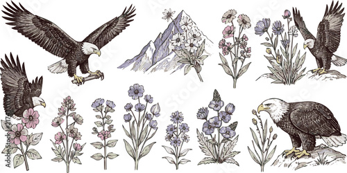 collection of hand drawn alpine flora and fauna illustrations featuring eagles and mountain flowers on white Background