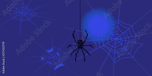 Night Background with Spider and Spider Webs