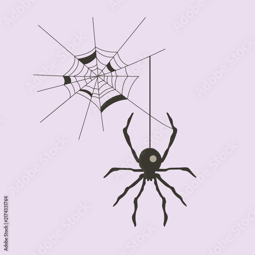 Spider on Spider Web – Halloween Creepy Vector Illustration