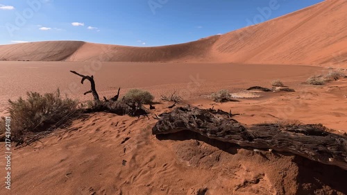 Dry trees in desert crater area at Deadvlei in Sossusvlei territory - Namibian world famous desert - African nature wonder with unique wild landscape in Namibia near South Africa