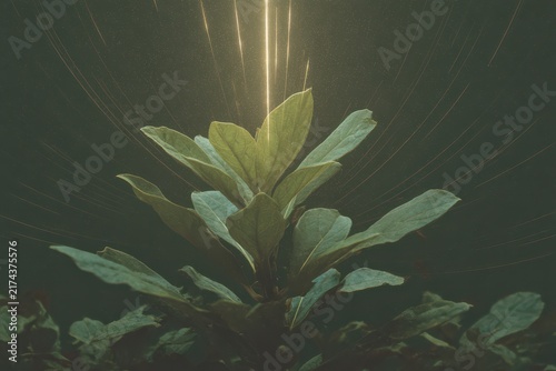 Glowing energy lines radiate from a plant's aura field in a mystic setting at night in a tranquil garden space