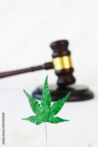 Judicial Gavel and Cannabis Marijuana Leaf Representing Cannabis Law and Legalization