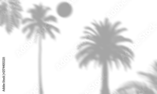 Soft Tropical Palm Trees and Moon Shadow Overlay Background