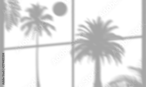 Soft Window Frame Shadow Overlay with Tropical Palm Trees and Moon at Night
