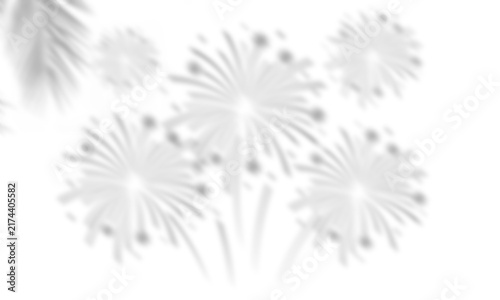 Night Fireworks Burst and Leaf Shadow Overlay Background