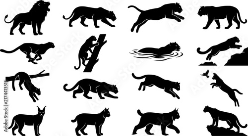 Big Cat Predator Hunt Black Silhouette Set Lion Lioness Tiger White Tiger Cheetah Leopard Jaguar Snow Leopard Puma Ocelot Serval Caracal Vector